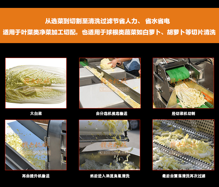 中央廚房凈菜流水線全自動生產加工葉菜根莖類果蔬的設備(圖6)