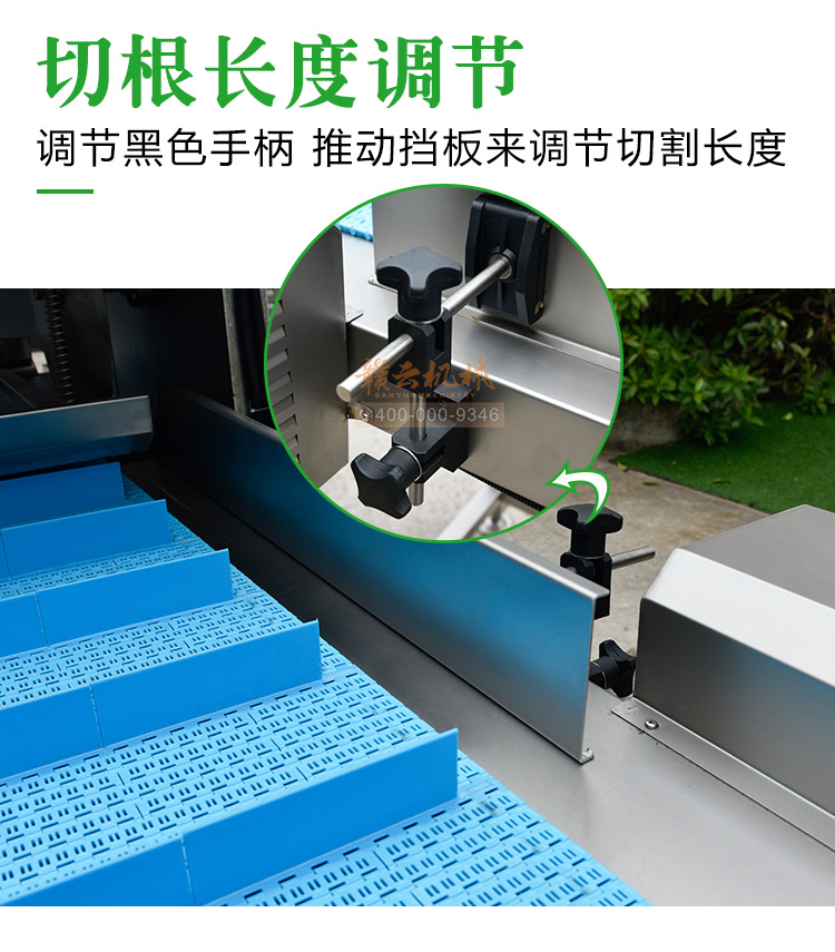 商用全自動去根機監獄無刀化設備蔥花大蔥切根機(圖12)