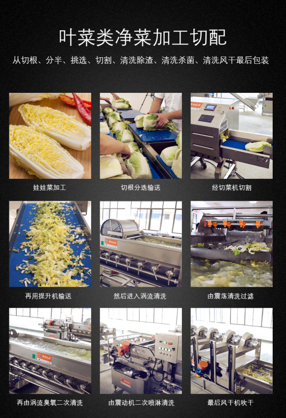 大型凈菜加工葉菜類及球根莖類清洗去皮切割解決方案(圖2) 大型凈菜加工葉菜類及球根莖類清洗去皮切割解決方案(圖2)