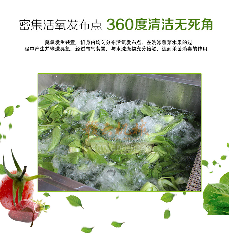酒店食堂事業單位學校食堂用的清洗消毒洗菜機(圖3)