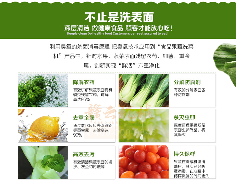 酒店食堂事業單位學校食堂用的清洗消毒洗菜機(圖5)
