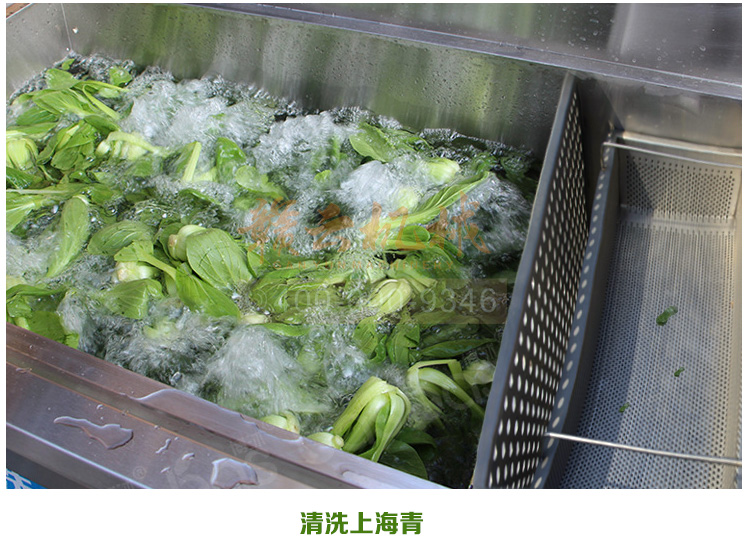 酒店食堂事業單位學校食堂用的清洗消毒洗菜機(圖19)
