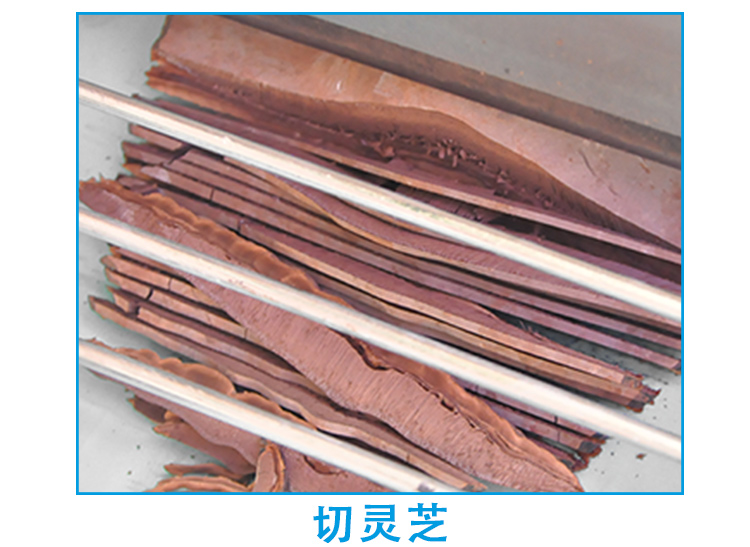 福建廣東靈芝切片機，切靈芝機器廠家直銷(圖4)