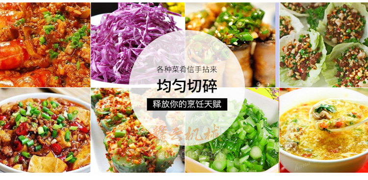 商用果蔬破碎設(shè)備大蒜生姜辣椒破碎成泥機(jī)自動(dòng)果蔬破碎機(jī)(圖11)